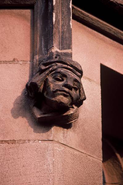 Perplexed Gargoyle