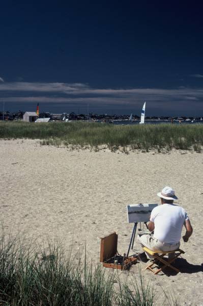 Beach Artist