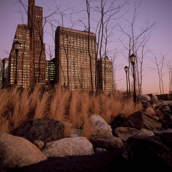 Wall Street from South Cove II