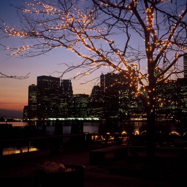 View from River Caf? at Dusk