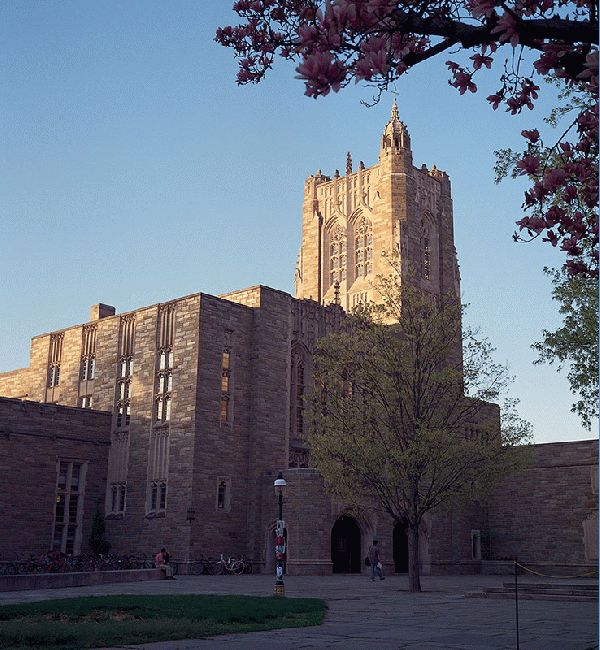 Firestone Library At Dusk