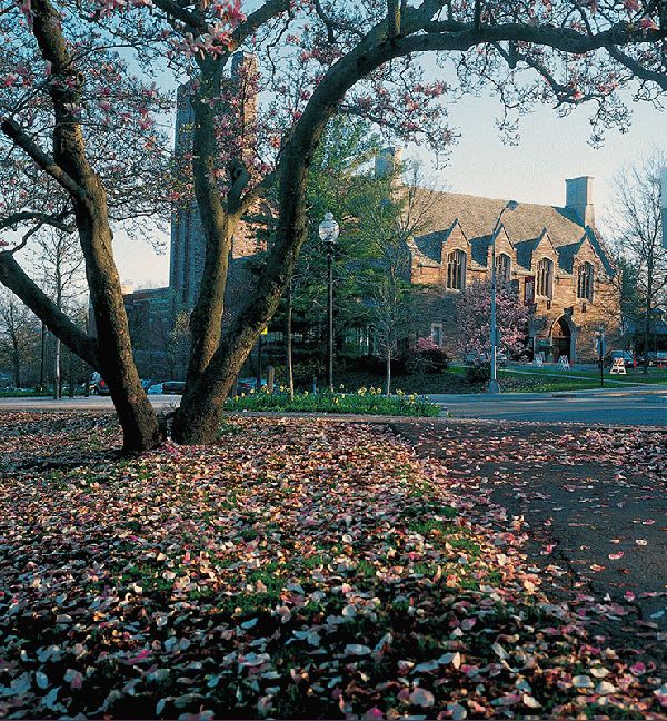 McCarter Theater Late Afternoon